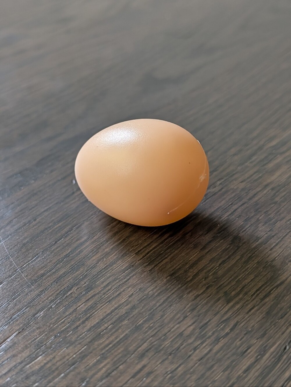 Play Food Pretend Egg Plastic Toy Kitchen Accessory Brown Egg 2"